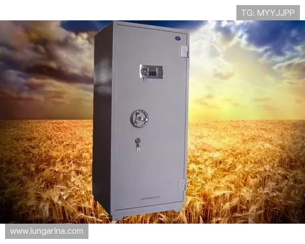 凯发k8网页登录登录失败常见原因及应对措施分析