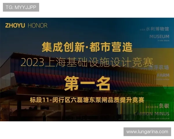 选择凯发旗舰厅官方网站下载的理由与使用体验分享