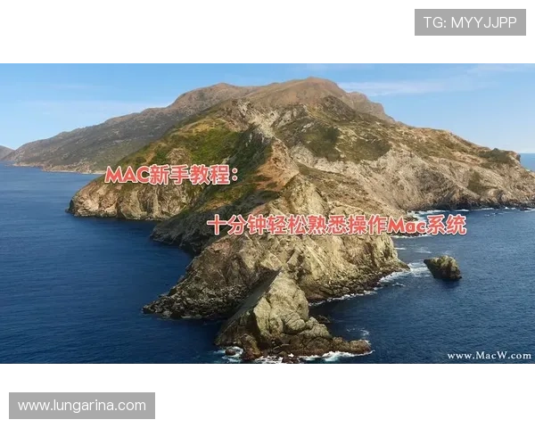 K8体育网页版登录界面详细介绍，帮助新手快速熟悉登录流程和操作步骤