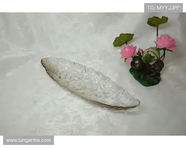 凯发娱乐app网址登录遇到问题怎么办，详细解决方案介绍